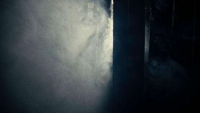 PARADISE LOST - Tyrants Serenade (OFFICIAL MUSIC VIDEO)