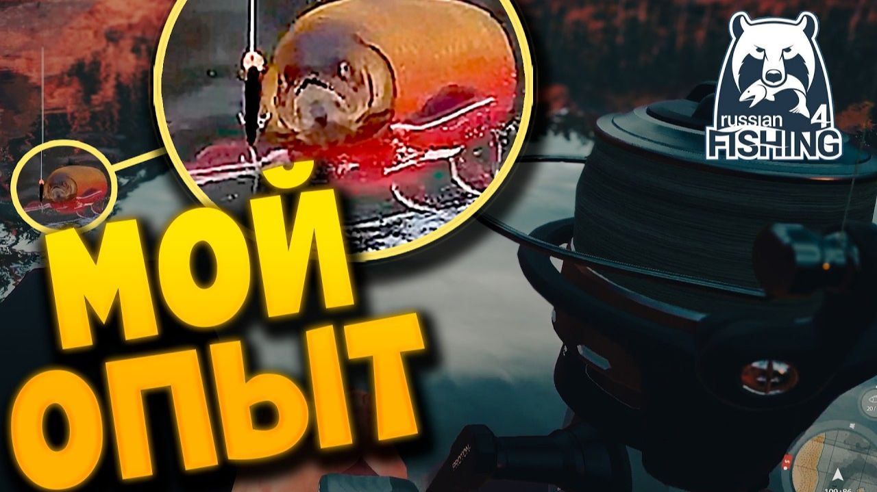 🎣РУССКАЯ_РЫБАЛКА_4___МОЙ_ОПЫТ___от_КУОРИ_до_МЕДНОГО🐟
