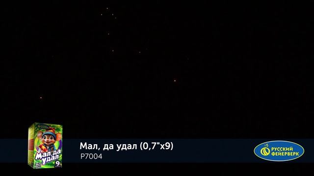 P7004