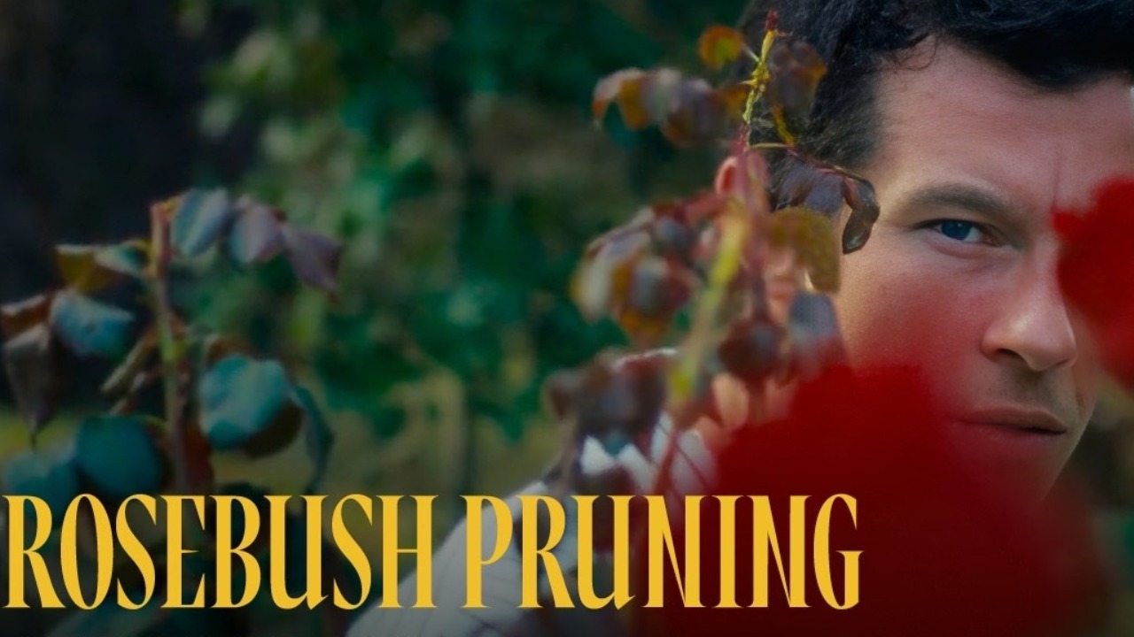 Подрезка кустов роз (2026) / Rosebush Pruning