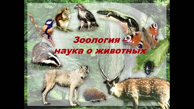 8 кл. Зоология - наука о животных
