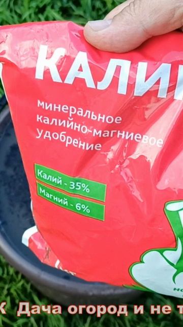 Удобрения ДЛЯ ОГОРОДА И САДА