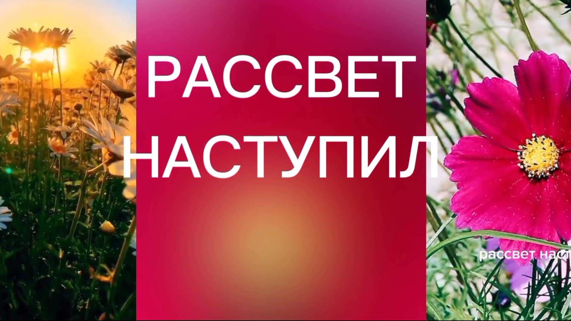 РЕЛАКС