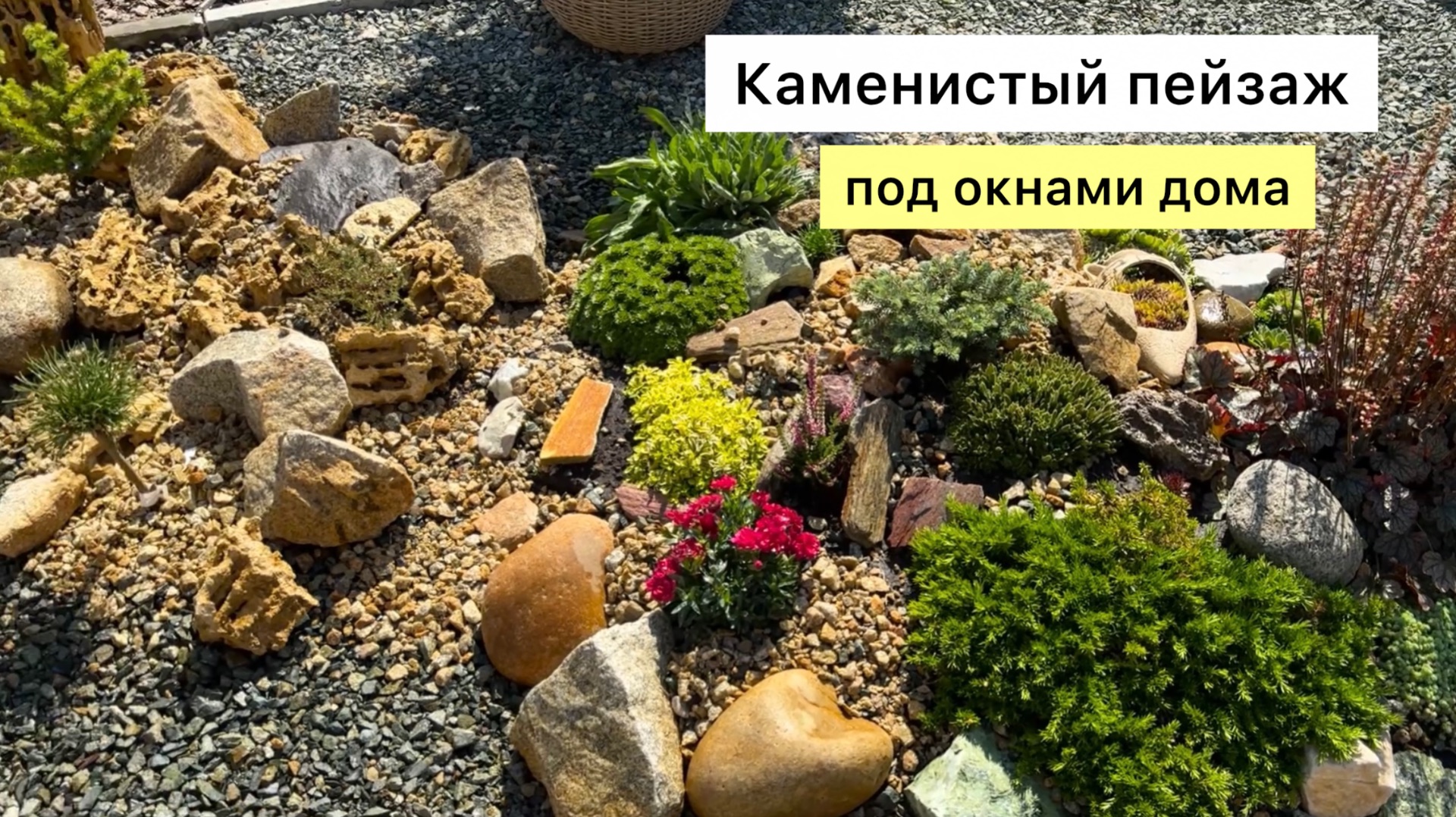 Рабочий ВЛОГ! Как увеличить рокарий! Новые посадки!