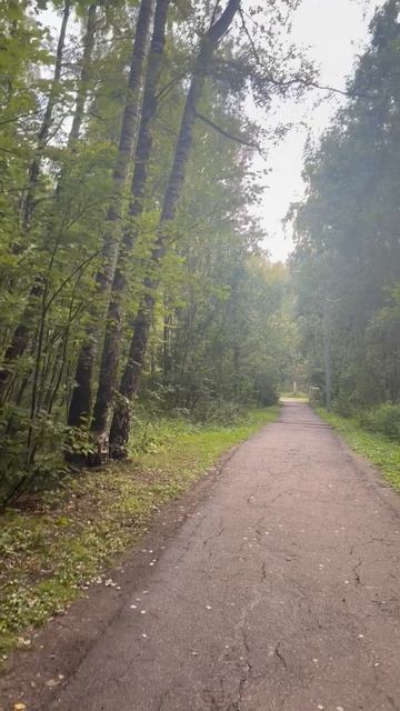 Прогулка по парку Авангард в Электростали - классная идея.