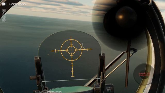 DCS видео