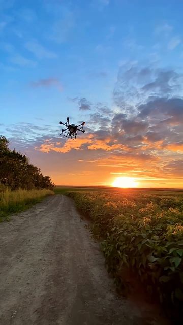 Закат. Дрон. Соя. #dji #djit20 #djiagras #agrast20 #agriculture #agro #закат #drone #дронназакате