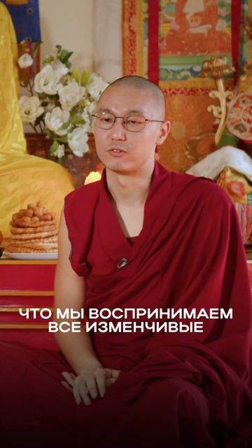 Главное отличие сватантриков?