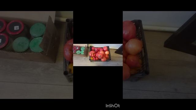 заготовка на зиму помидор