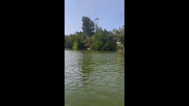 видео из реальной жизни