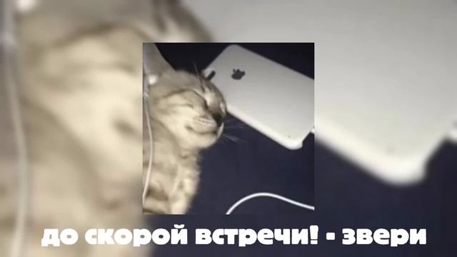 Best Music