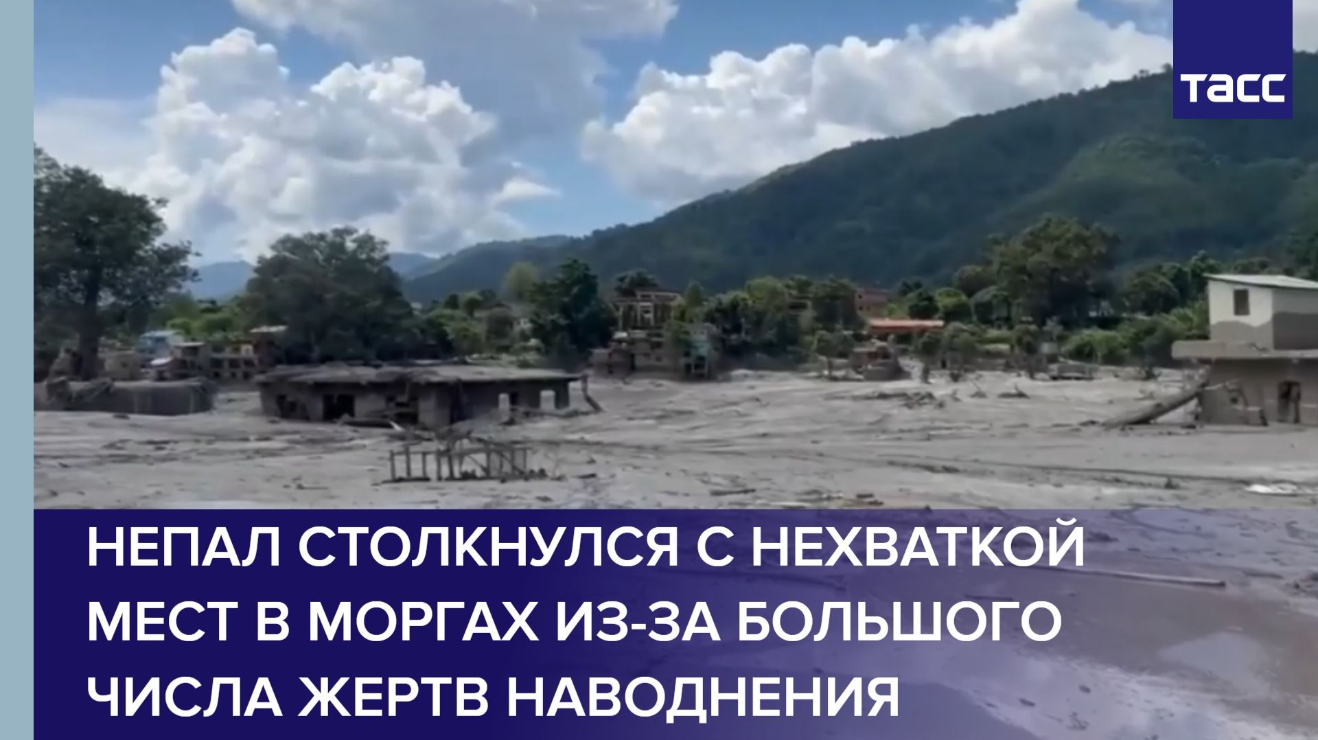 БОЛЬШОЙ ВЛОГ ИЗ ОТЕЛЯ ЗА МИЛЛИОН! - глент