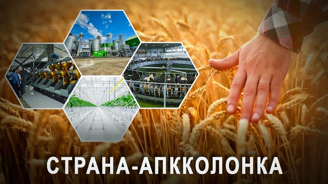 Эталош!!! Россия опять что-то запустила, 8 новых предприятий АПК за июль