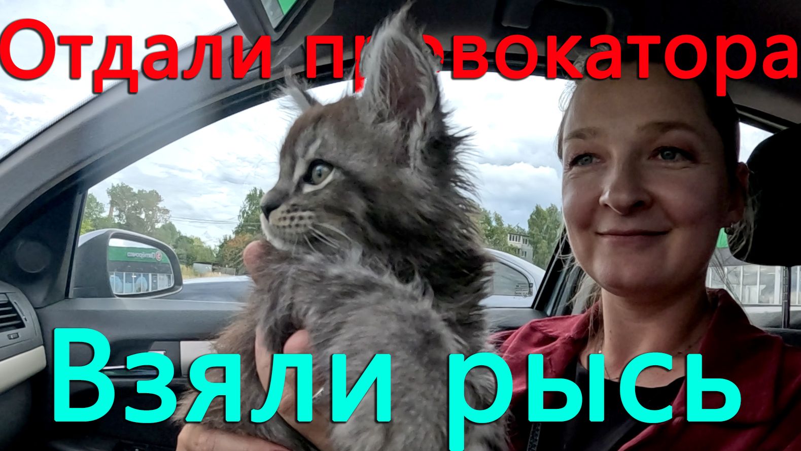 Приехали родители и гости. Вернули провокатора. Взяли котёнка. Опять натянули пленку на крышу.