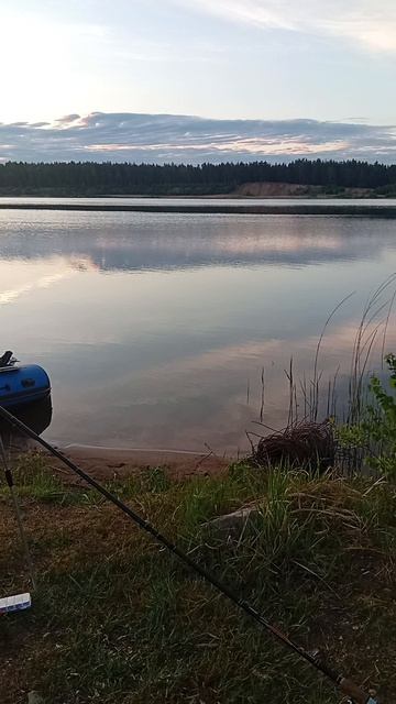 малукса.