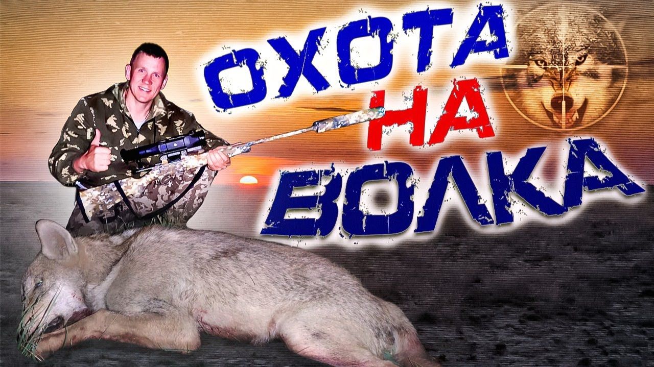 ОХОТА на волков осенью