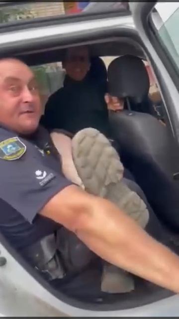 ���� ���� � ������ �����?