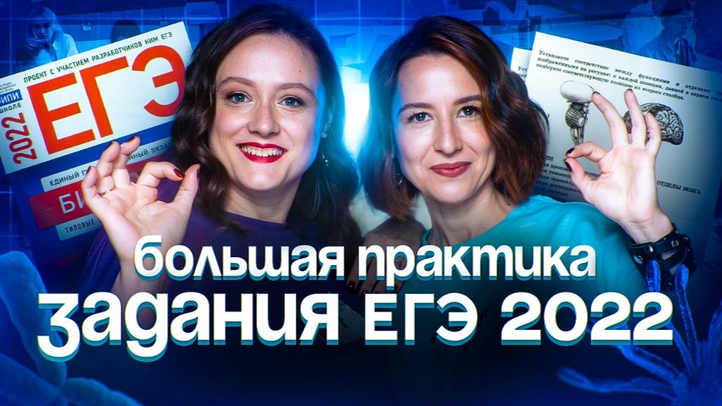 Большая практика. Задания ЕГЭ 2022 | ЕГЭ-2026 по биологии