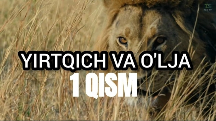 Yovvoyi Tabiat : Yirtqirch Va O'lja, 1 Qism