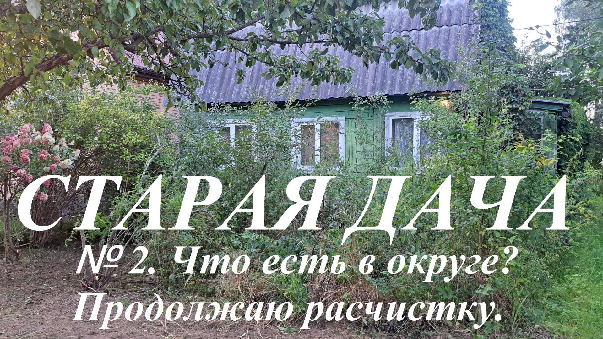 Старая дача. № 2. Что есть в округе? Продолжаю расчистку.