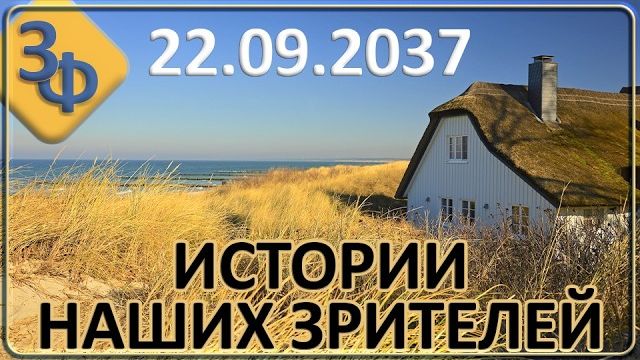 356 Жизнь всегда находит способ отблагодарить Истории наших зрителей