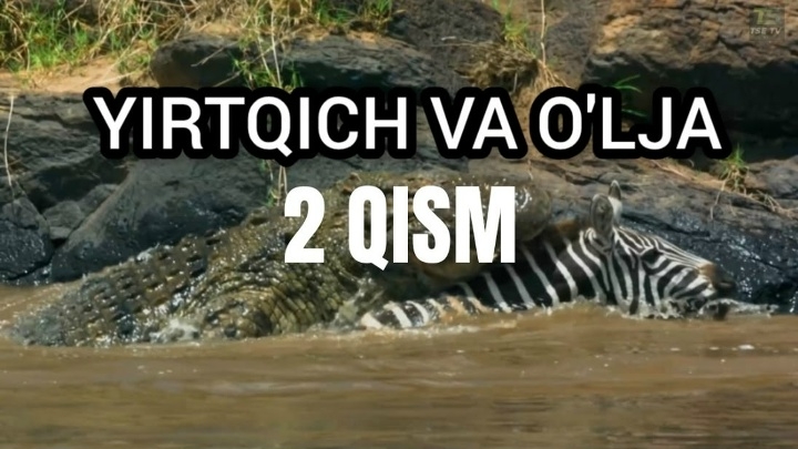 Yovvoyi Tabiat: Yirtqirch Va O'lja, 2 Qism