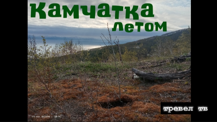 Камчатка летом