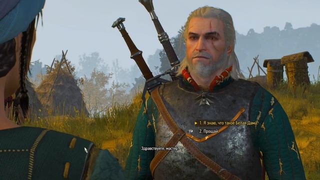 The Witcher 3