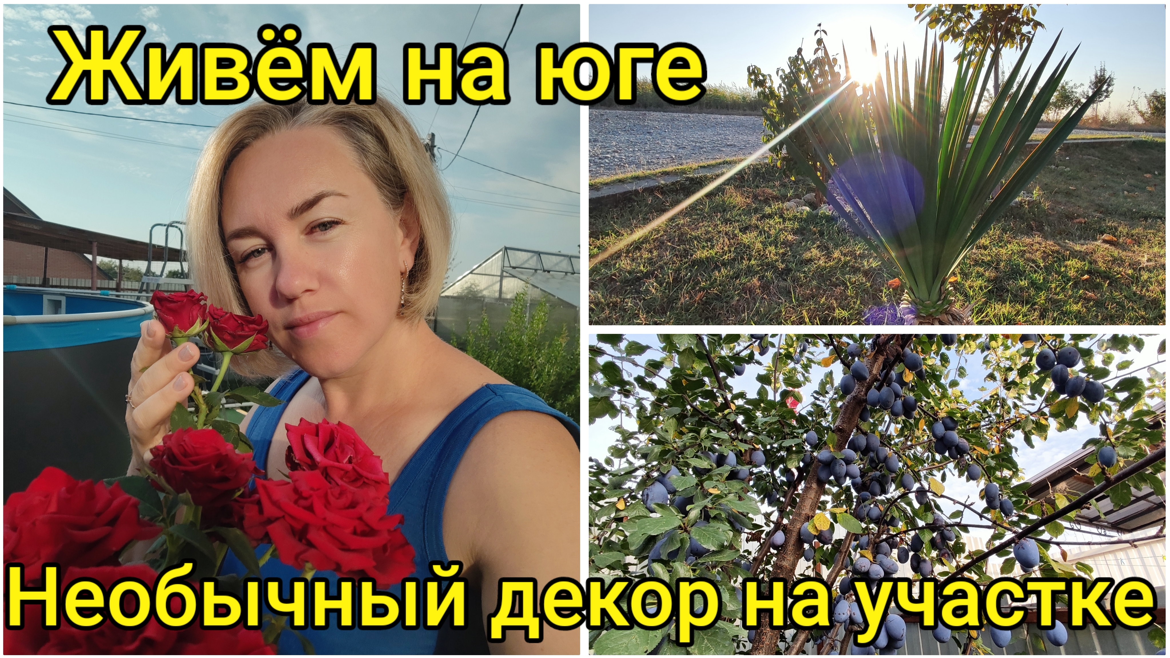 Живëм на юге☀ Кубанские будни 🌻 Необычный декор на участке 😃