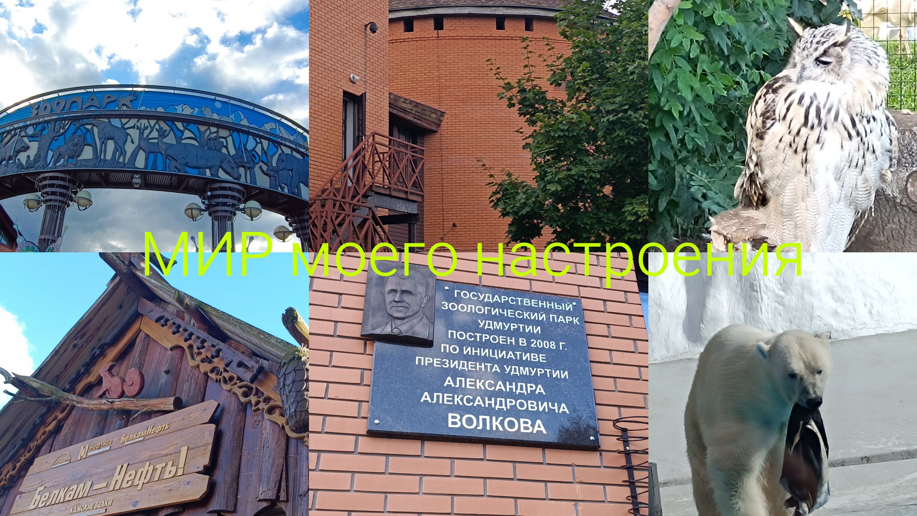27.08.26 Зоопарк в Ижевске