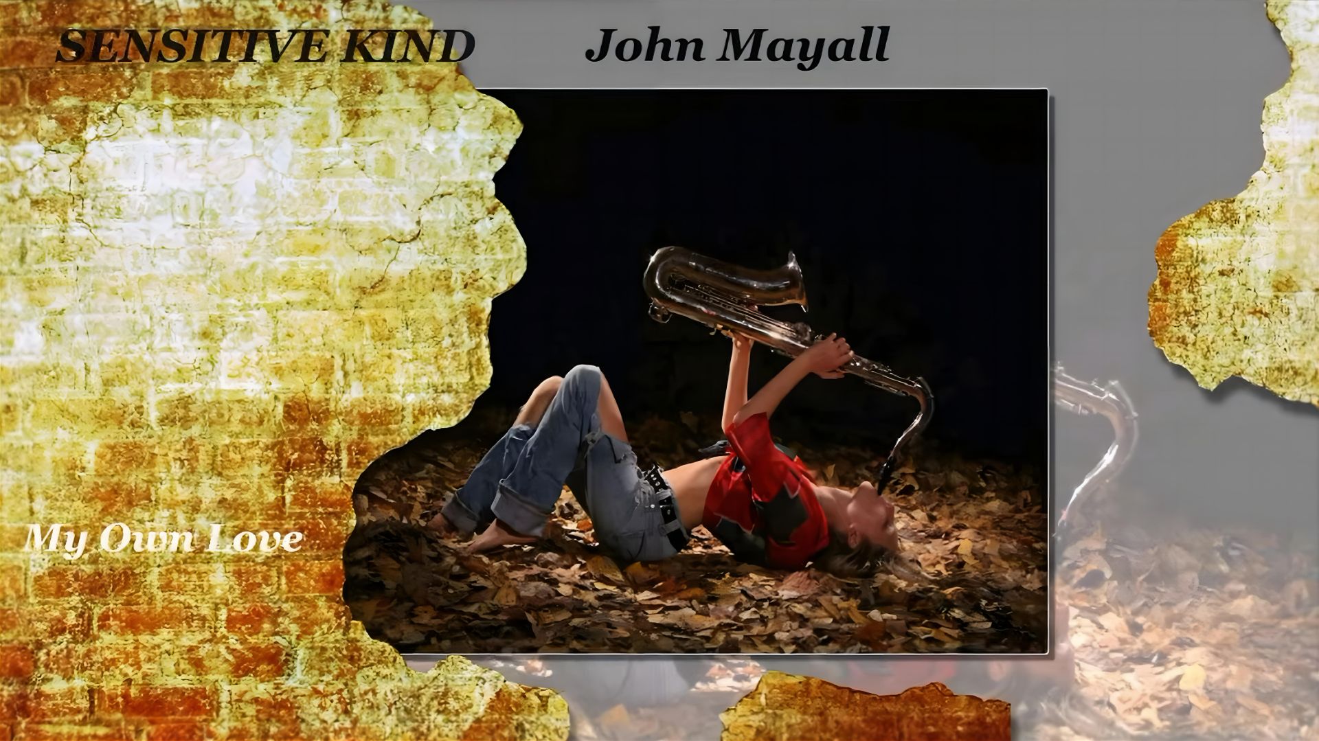 Sensitive Kind__John Mayall