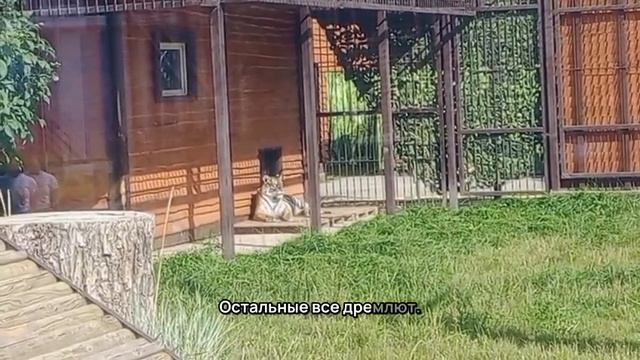 XNHY8109_28.08.2026-видео от Ивана