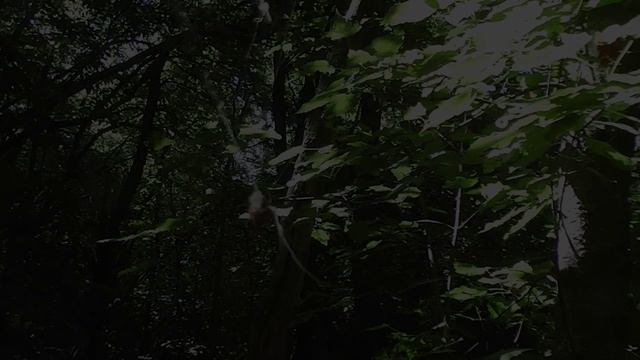 ПРП Серебряный Бор.