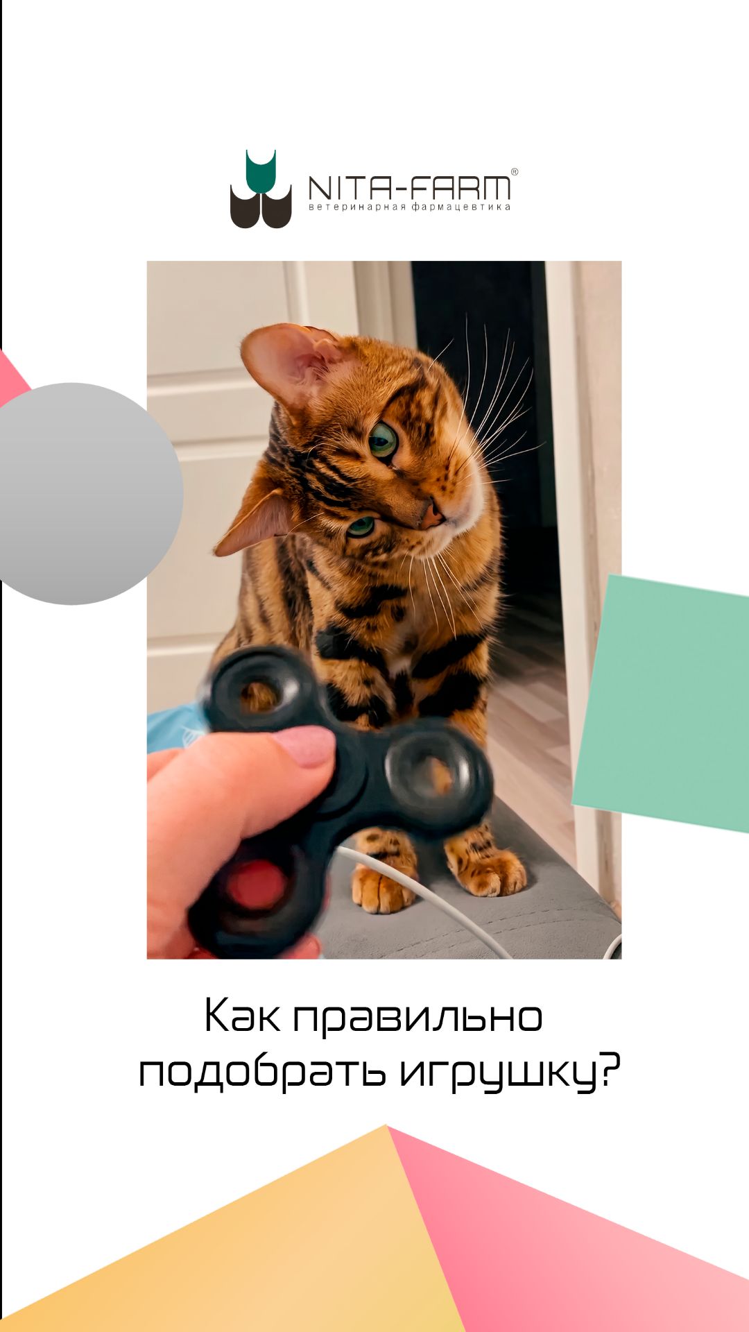 Владельцам питомцев