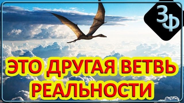 354 Мы незаметно оказываемся в иной версии реальности