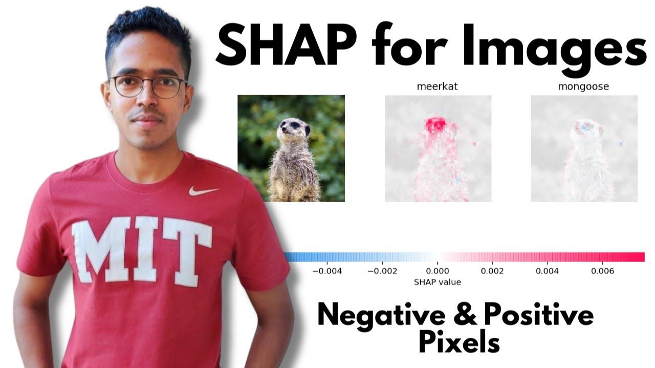 11) SHAP For Image-based Data Explainable AI (XAI) Image Plot Colab Implementation