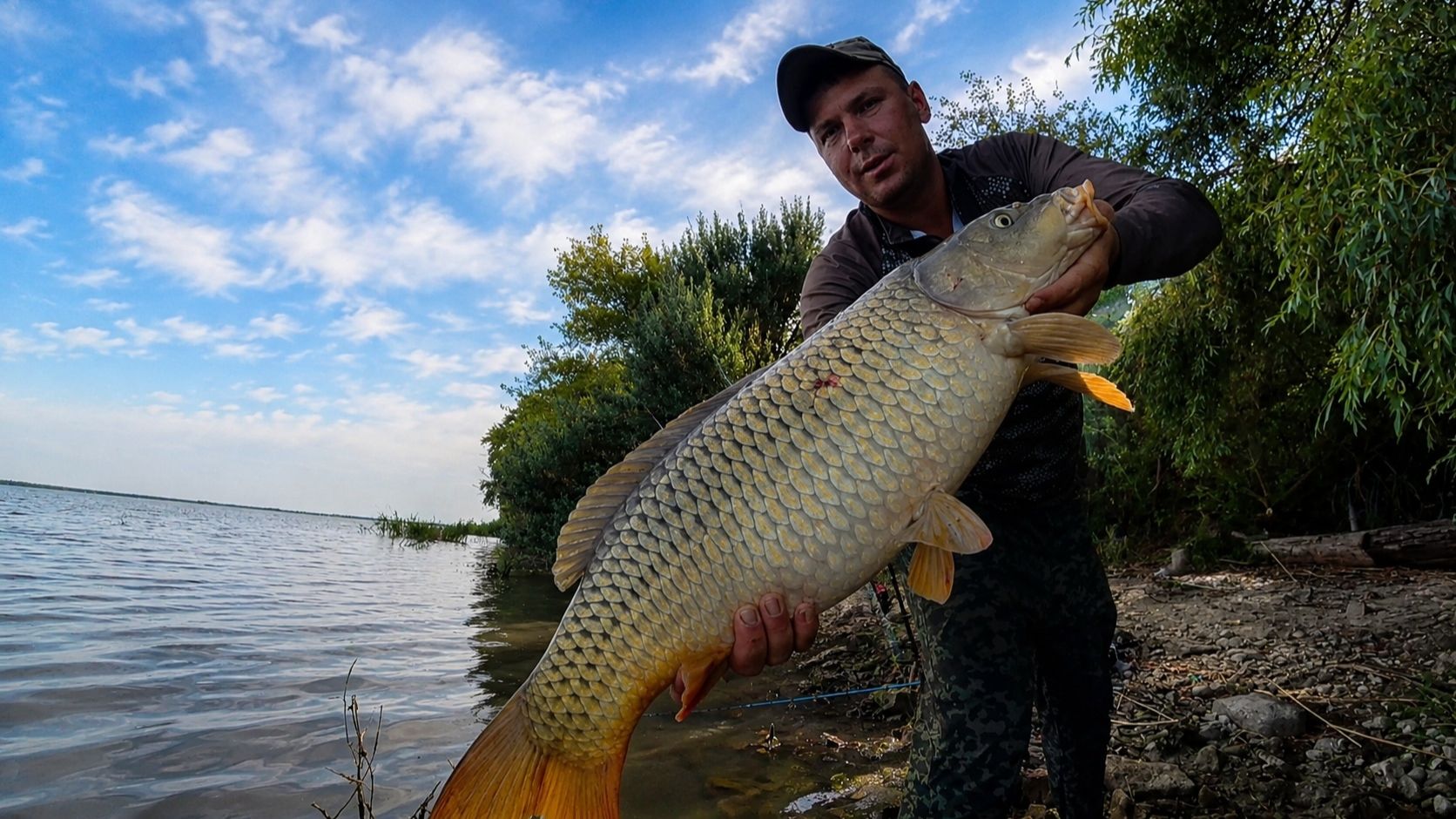 Вот это гнут! Жор сазана на дону — Рыбалка с ночёвкой на каменном берегу!