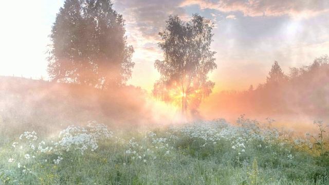 Футаж. Летний пейзаж 32