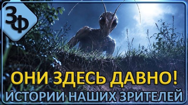 360 Что за существа живут рядом с нами Истории наших зрителей