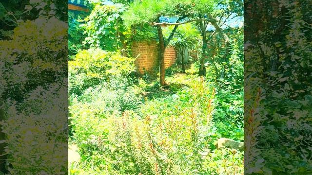 Mydreamfever - Rough And Beautiful Place