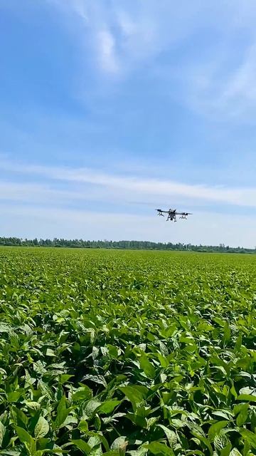 Подкормка сои  #dji #agras #agrast20 #djit20 #agriculture #agro #djiagrast20 #drone