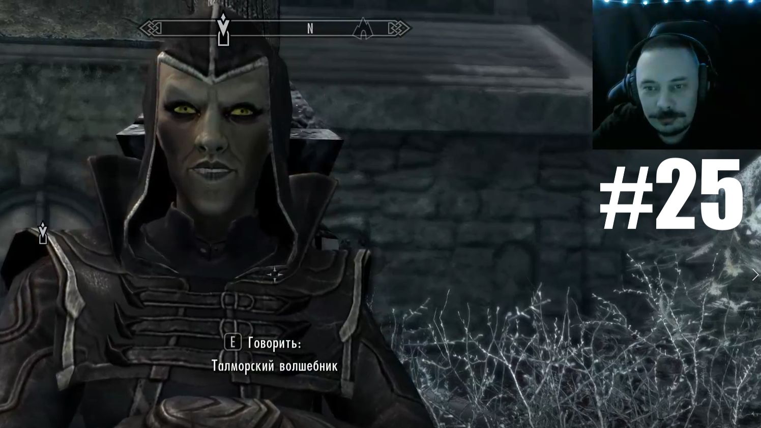 The Elder Scrolls V: Skyrim ► В Гостях у Талмора #25