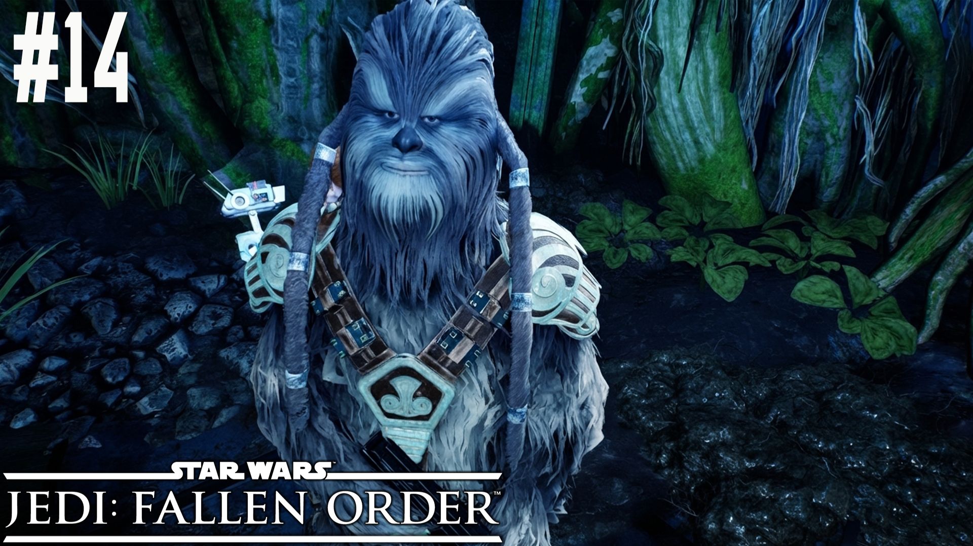 STAR WARS Fallen Order