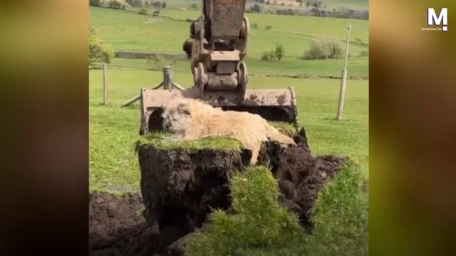 Это был увликательный атракцион