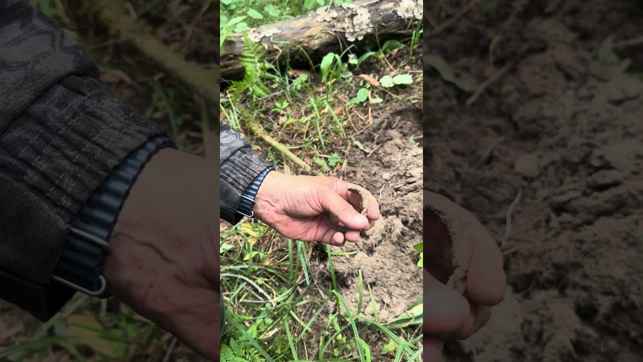 САМАЯ ЛУЧШАЯ НАХОДКА ЛЕТА 2 #metaldetecting #находкисметаллоискателем #находки #коп