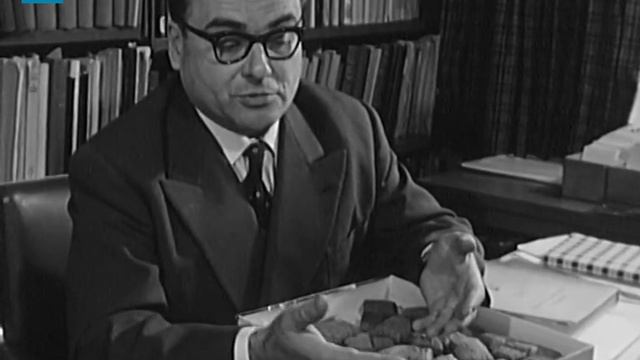 Jean Bottero à Propos Des Tablettes Sumériennes Découvertes à Mari