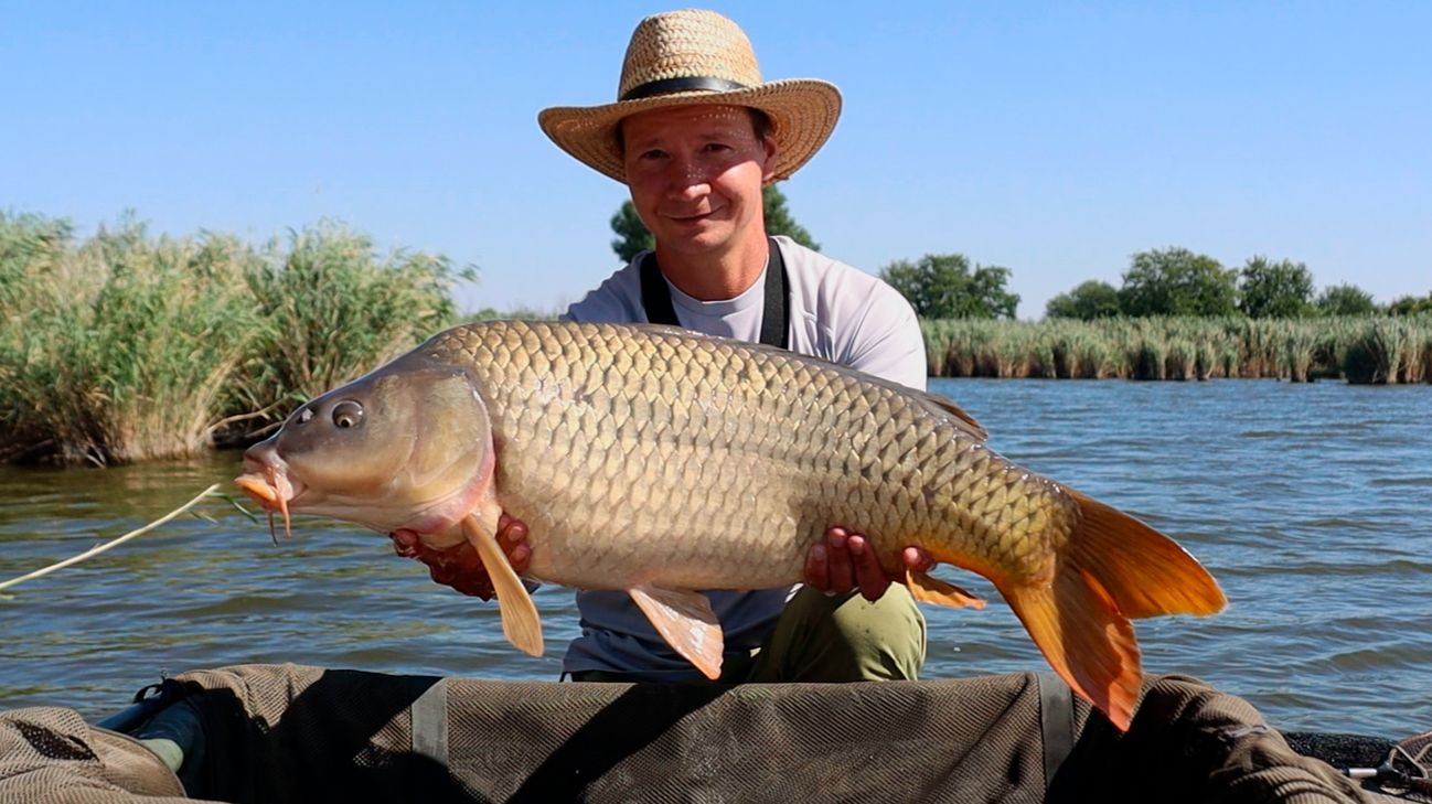 Carp Fishing вот это рыбалка на крупную рыбу