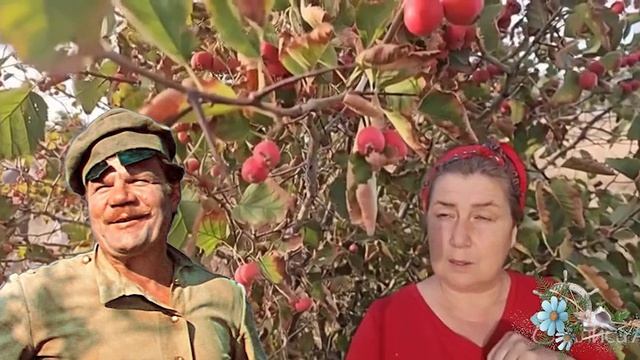 КАЗАЧКА ПРИДОНСКИХ СТЕПЕЙ.