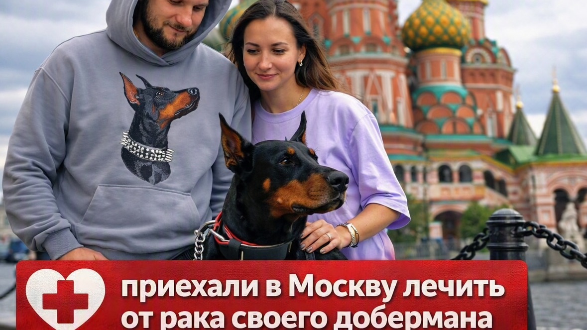 Мы в Москве! Приехали в Биоконтроль спасать своего добермана от рака