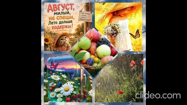 АВГУС ВЕРНЁТСЯ!